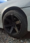 Shogun. x18" ����