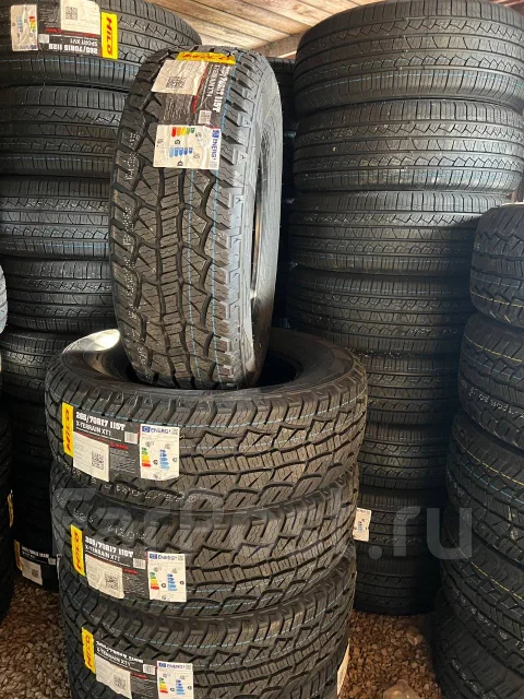 Hilo XT1. �����������, 2026 ���, ����� ����