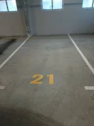 ����� �����������. ����