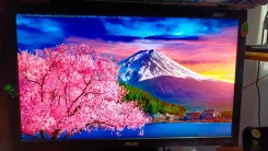 Asus. 23.6", ���������� �� (LCD, LED, QLED) ����