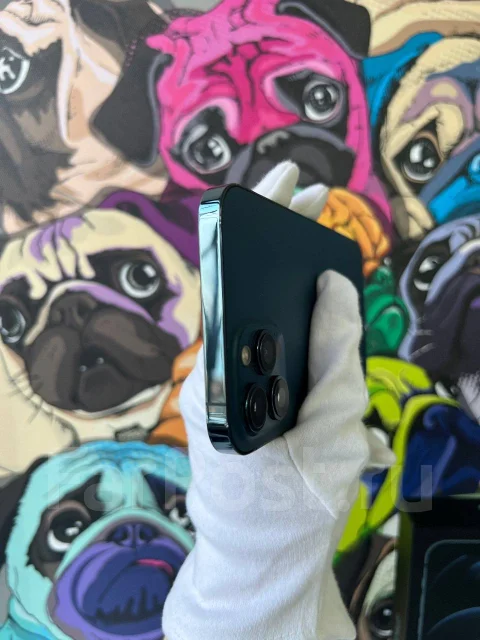 Apple iPhone 12 Pro Max. �/�, 256 ��, �����, 4G LTE ����
