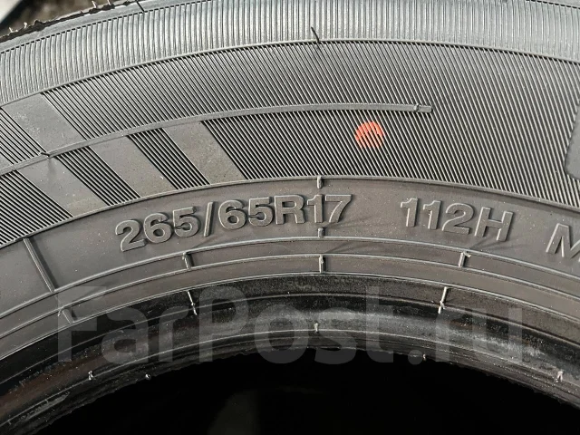 Hilo Sport XV1. ������, 2026 ���, �����. ��� ����� �� ������� ����