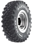 Ascenso MIR 221