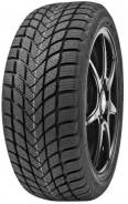 Delinte Winter WD6