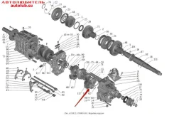 ��������� 50305 ��� 5-���� �����, ������, �������������� ���� ������ ����� SKF 6305 ����