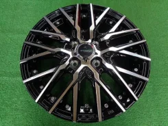 Kyoho Steiner CVX