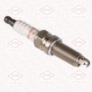 ����� ��������� Tatsumi THS2035 Iridium / Platinum KXLR6DIP10 THS2035 ����