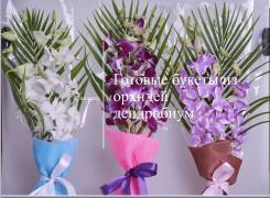 �������. ����