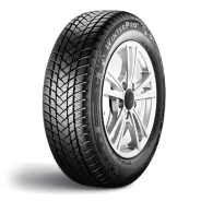 GT Radial WinterPro2