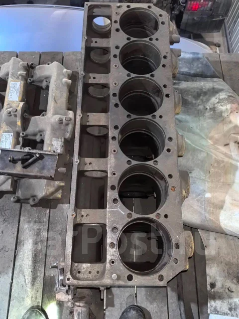 ������ ���� ��������� cat-12 12 ����