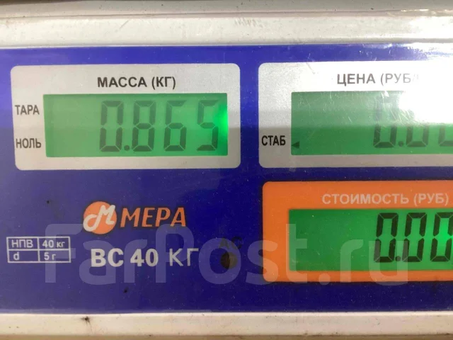 ���� ABS MAN 1304635 1304635 ����