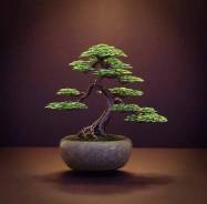 ���������� ������������� ������������� �������. ��� "������". ����� ���������� 23� ����