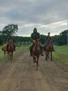 ��������� ����������� ������. �� ��� ������. ����� �������� 129 ����