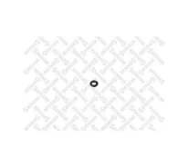 ������ �������������� �������� ������ Jumper 06- euro 5 8901156SX 8901156SX ����