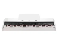 �������� �������, ����� ���������, Medeli DP330-GW ����