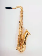 �������� ����� Bb Conductor FLT-ST ����