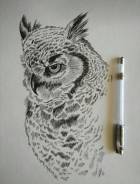 ������� ����