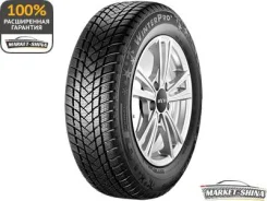 GT Radial WinterPro2