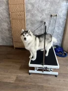 �������. ����