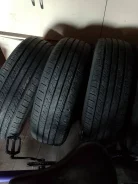 Firestone Wilderness LE. ������, 2024 ���, �/�, ����� �� 5 % ����