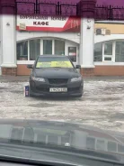 ������ �������� Dongil 3540 3540 ����