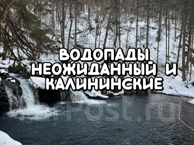 ������� �����������. ����