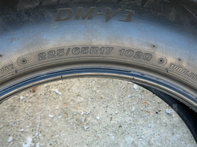 Bridgestone Blizzak DM-V3. ������, ��� �����, 2021 ���, ����� ����