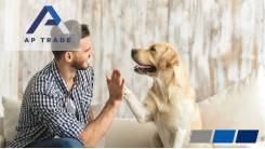 �������� �������������-����������� ������������. ��� "��-�� �����". ����� ������������� 8� ����