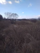 ������ ��������� ������� 30 ����� �. ��-���������������. 30����., ������� ������� ���������� ���������, ������ ����