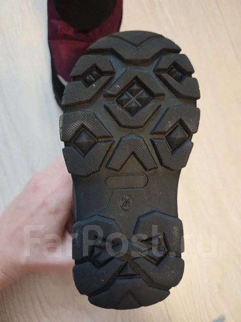 �������. 24 ����