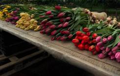 ������������. �� ���������. ����� ������� 63 ����