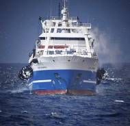 ������-��������������. �� ��������� �.�. ����� ���� 33 ����