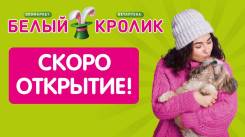 ������������� ��������. �� ��������� �.�. �������� 100-����� ������������ 68 ����