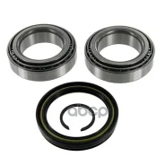 ��������� ������� ������ Skf ���. VKBA1915 VKBA1915 ����