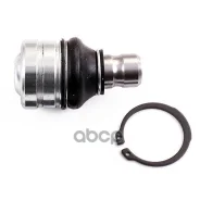 ������� ����� Skf ���. VKDS313031 VKDS313031 ����