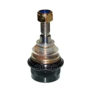 ������� ����� Nissan/OPEL/Vauxhall Interstar, Movano A, Movano Mk I Skf ���. VKDS316008 VKDS316008 ����