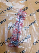 ���� Nissan X-Trail CLN36 NT32, �������� ����� CLN36 ����