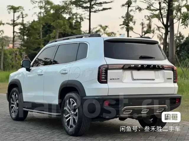 Haval Dargo. GW4N20 ����