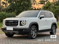 Haval Dargo. GW4N20 ����