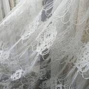 ����. ����