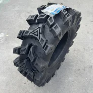 ����. ����