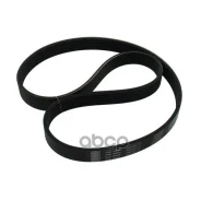 ������ skf Skf ���. VKMV6PK953 VKMV6PK953 ����