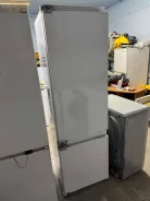 ������������ ������������. ����