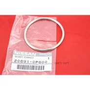 ������ ��������� Nissan 206910P600 206910P600 ����