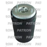 ������������ ������ ������ BMW 5 (E39, Touring) Patron PAS1023 PAS1023 ����