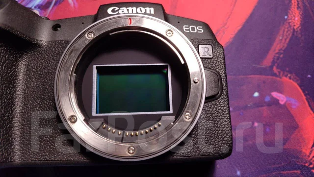 Canon EOS RP. ���: ��� ���� ����