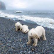 ������������. ���. ������� ����