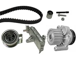 ������ ���, �������� (������ + ������ + �����) VW Passat, BORA, GOLF IV, AUDI A3, A4, A6, Skoda Octavia, Superb, FORD Galaxy 1.9D 98-06 5300090300 Ina...