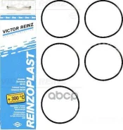 �������� ��������� ��������� ������ Victor Reinz ���. 15-76741-02 157674102 ����