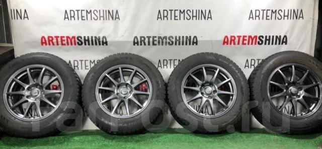 Abelia Sport